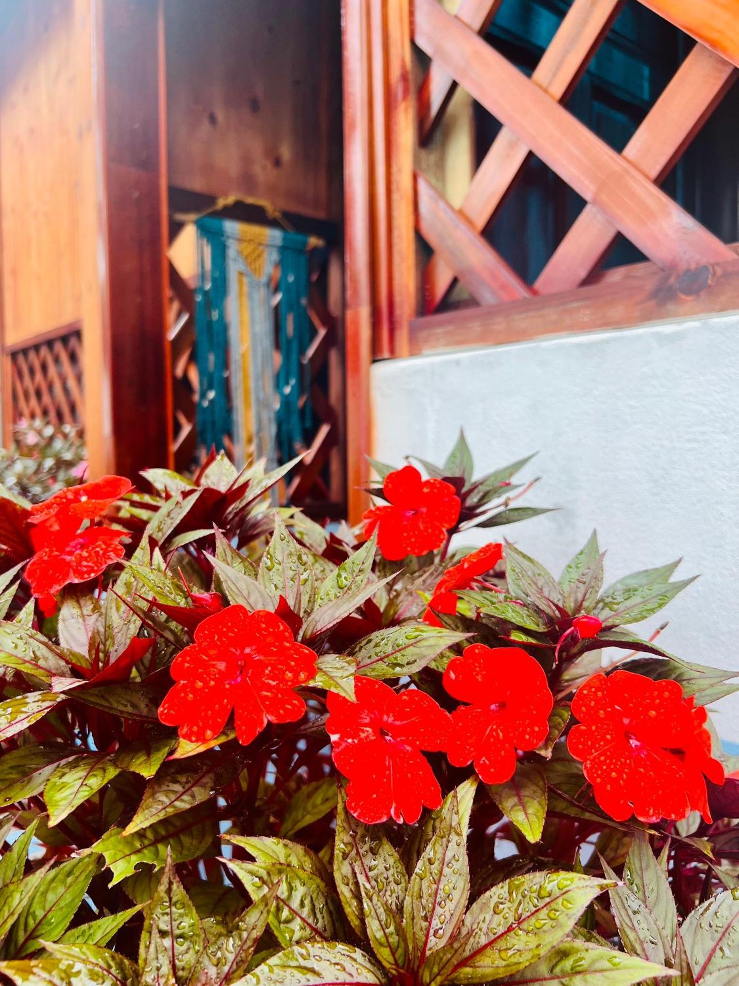 Vietnam Phuot Real Home Kon Tum ห้อง รูปภาพ